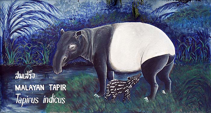 'Painting of a Malayan Tapir with Calf | Dusit Zoo | Thailand' by Asienreisender
